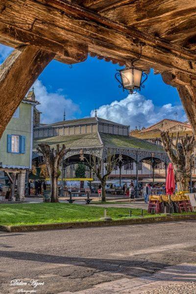 Superbe Appartement Plein Centre, Calme, Netflix Mirepoix  Dış mekan fotoğraf